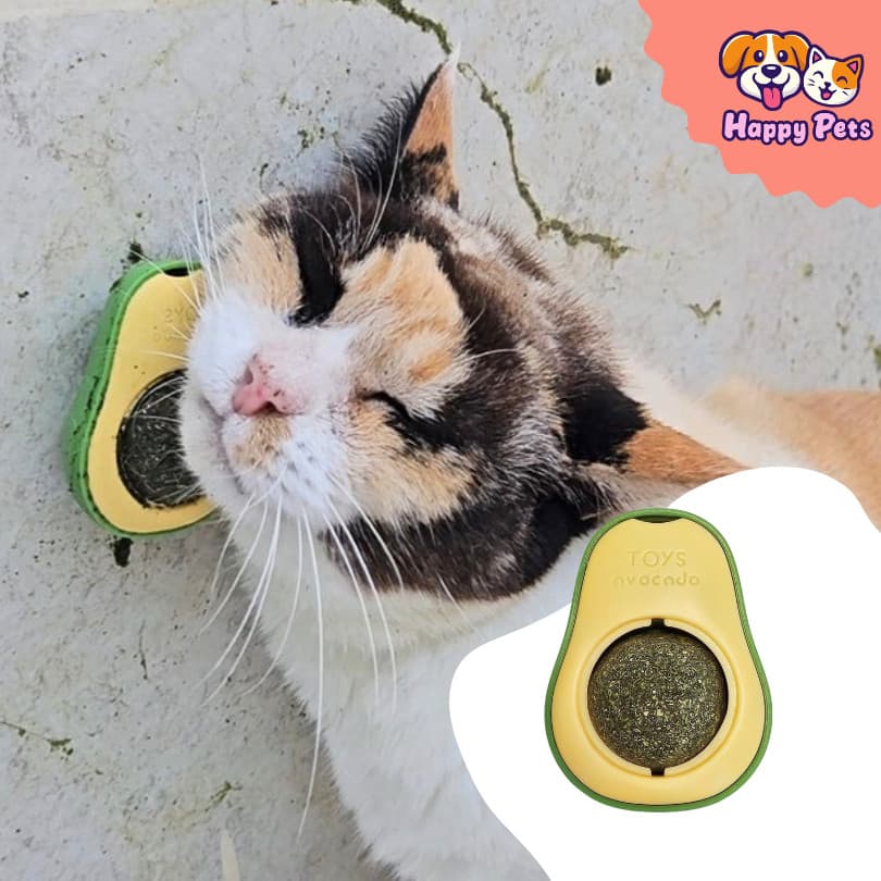 Brinquedo Abacate Com Catnip Para Gato Super Natural Saudável Estimulante E Interativo Aos Felinos