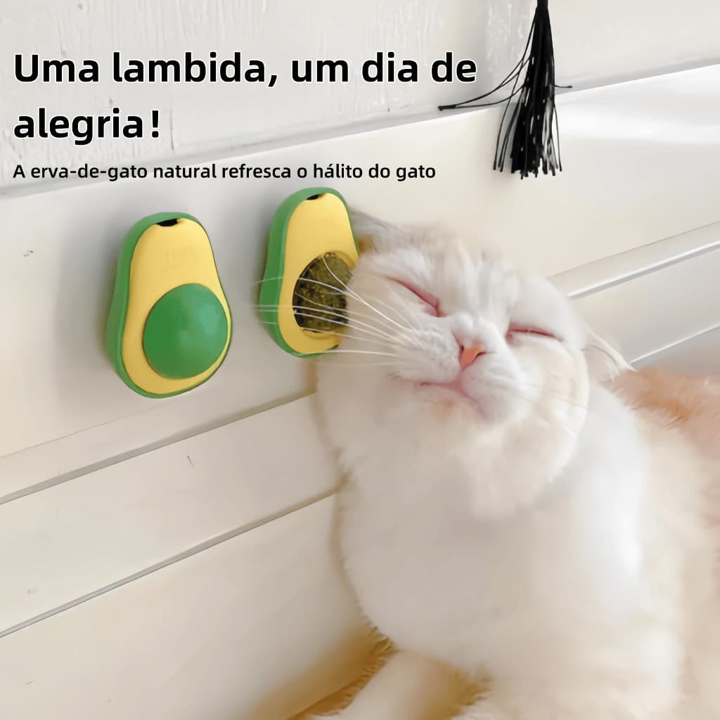 4/3/2/1 Abacate De Brinquedo Para Gatos Com Catnip Erva Gato Natural Otimolegal