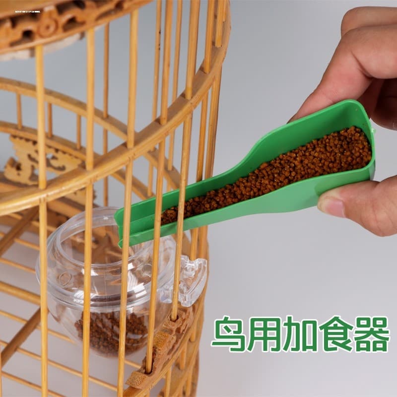 Comida para pássaros mais colher de comida periquito suprimentos para pássaros mais utensílios de comida comida para pás