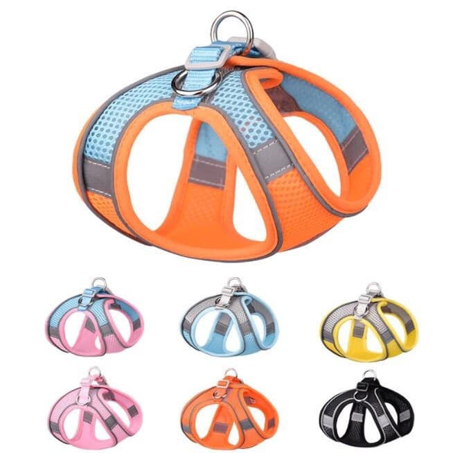 Nova Coleira para Animais de Estimação, Coleira Refletiva para Cães, Coleira Respirável e Confortável para Cães e Gatos.