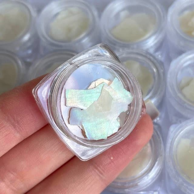 Kit Estojo Com 12 Madre Perola Braca Cor Para Decoração De Unhas Encapsular Alongamento