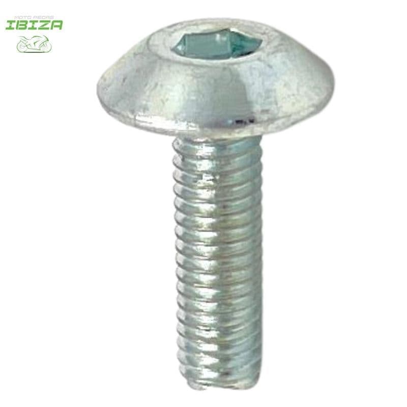 PARAFUSO ALLEN FIX FAROL FZ 15/ FZ 250 (6X20) UND