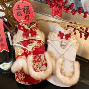 Outono inverno cão roupas de ano novo chinês cães pequenos roupas de ano novo festivo gato algodão-acolchoado colete Pet