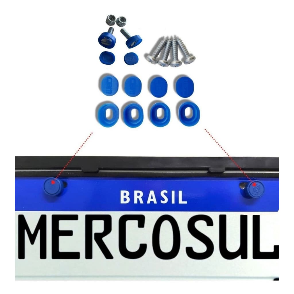 Kit 10 Lacres De Parafusos Placa Mercosul + Parafusos
