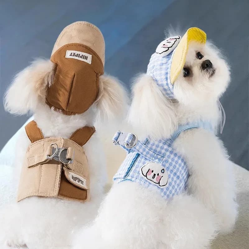 Arnês para cães com chapéu e guia integrada, estilo de uso nas costas, adequado para cães pequenos como Terriers, Bichon
