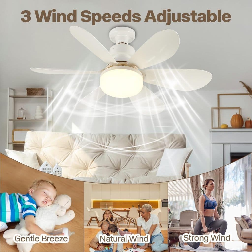 Lâmpada Ventilador 6 Pás 60w/80w De Teto,110V/220V Bivolt, E27 Com Controle Luz Ajustável Bom DMS