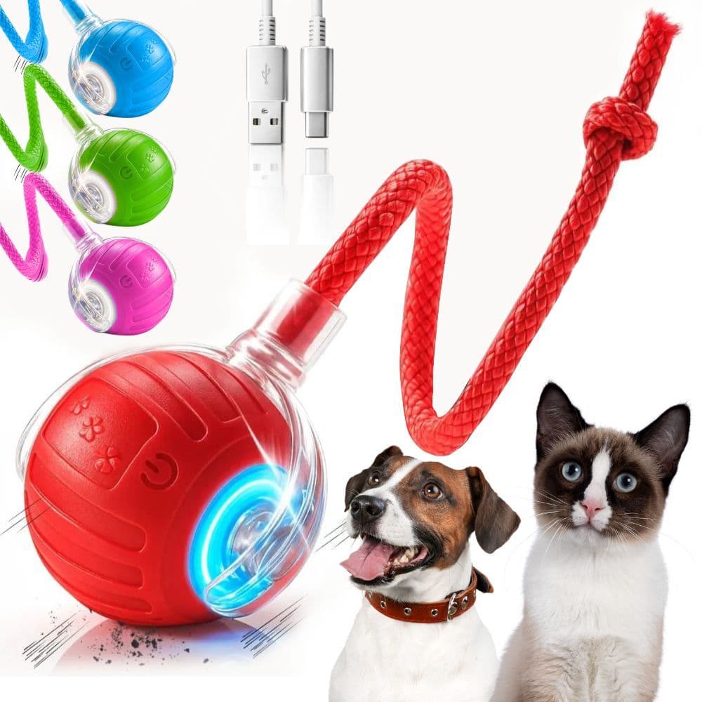 Bola Pet Inteligente Giratória Recarregável Usb Brinquedo Cachorro Cão E Gato