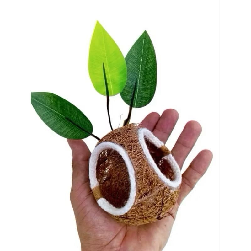 Ninho Bola Com fibra de Coco Natural para Coleiro papa capim curio