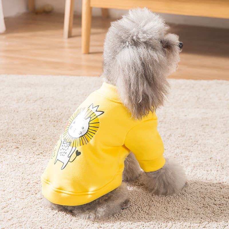 Roupas de cachorro outono inverno gato animal de estimação Teddy Bichon Pomeranian luta francesa pequeno filhote de cach