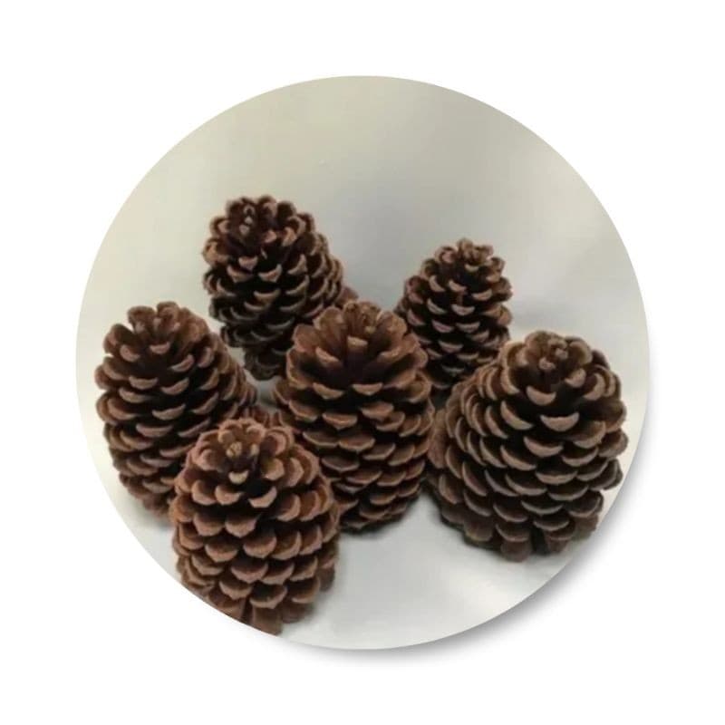 kit 20 Pinhas Naturais Guirlanda de Natal