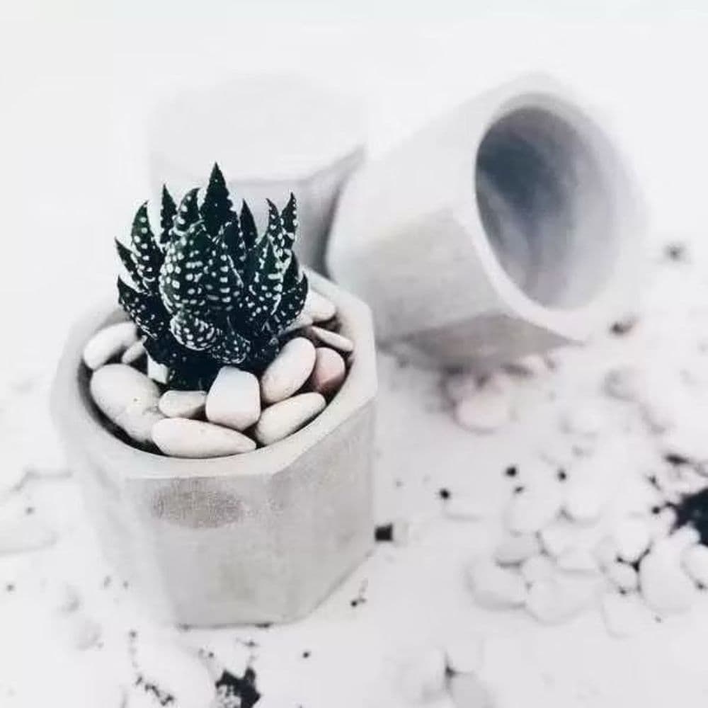 Forma de Silicone para Gesso Vela Resina Vasinhos Concreto Molde de Vasinho