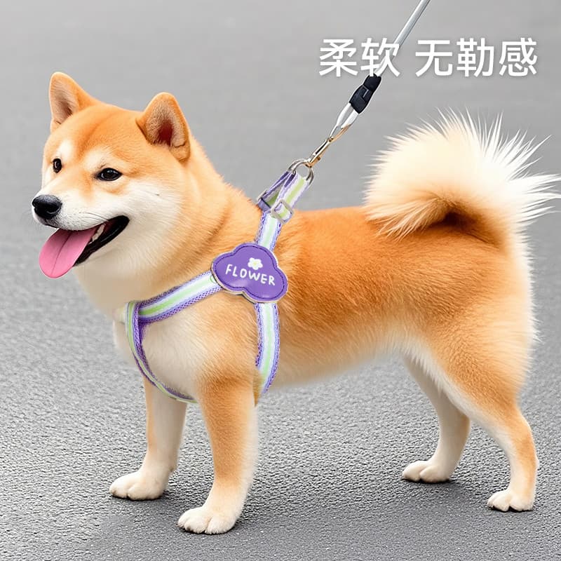 Coleira para cachorro estilo colete, alça peitoral, corda para caminhada, cachorro pequeno e médio, Shiba Inu Bichon, su