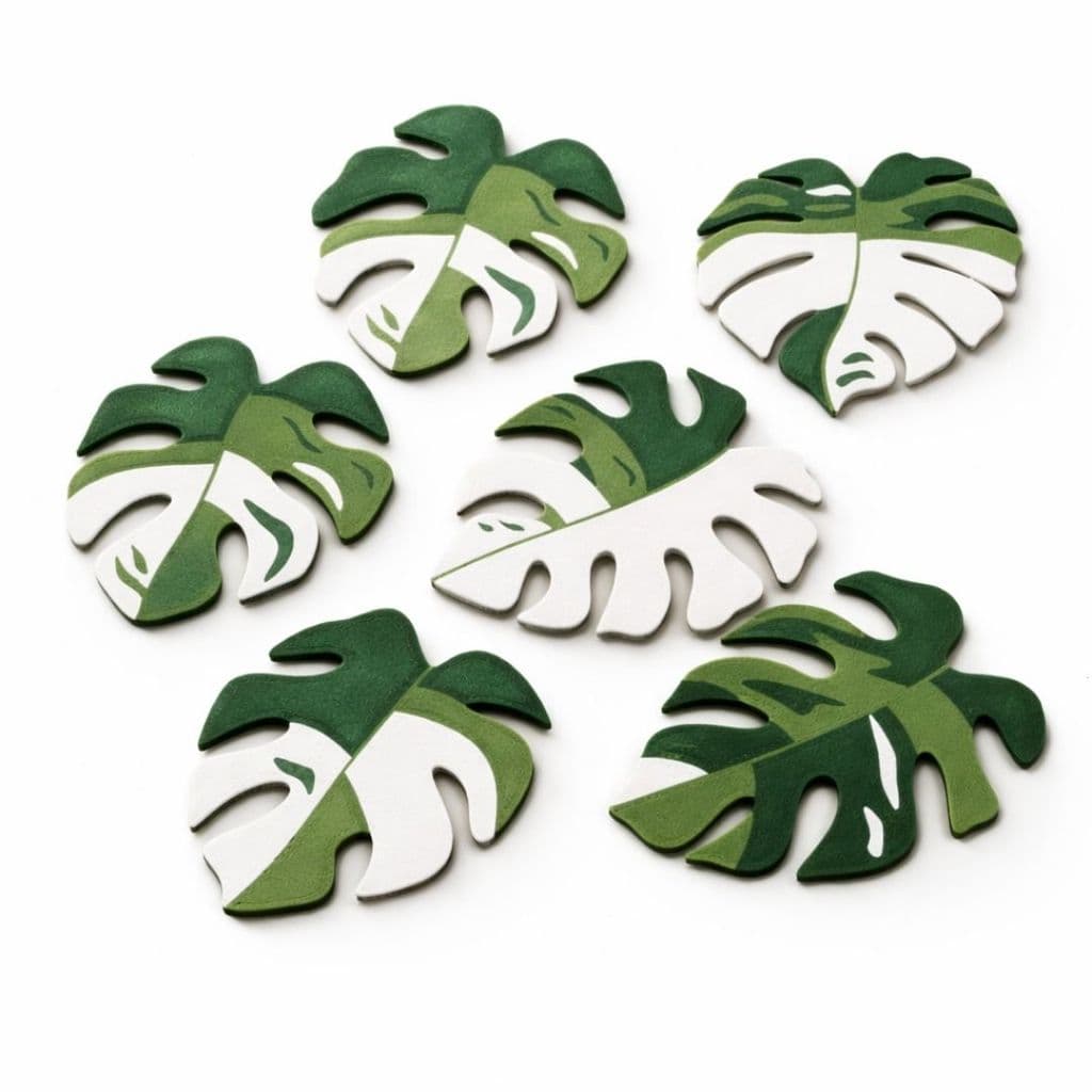 Kit 5 Porta Copos e Xícaras Folhas Monstera Variegata Planta Ornamental Colorido