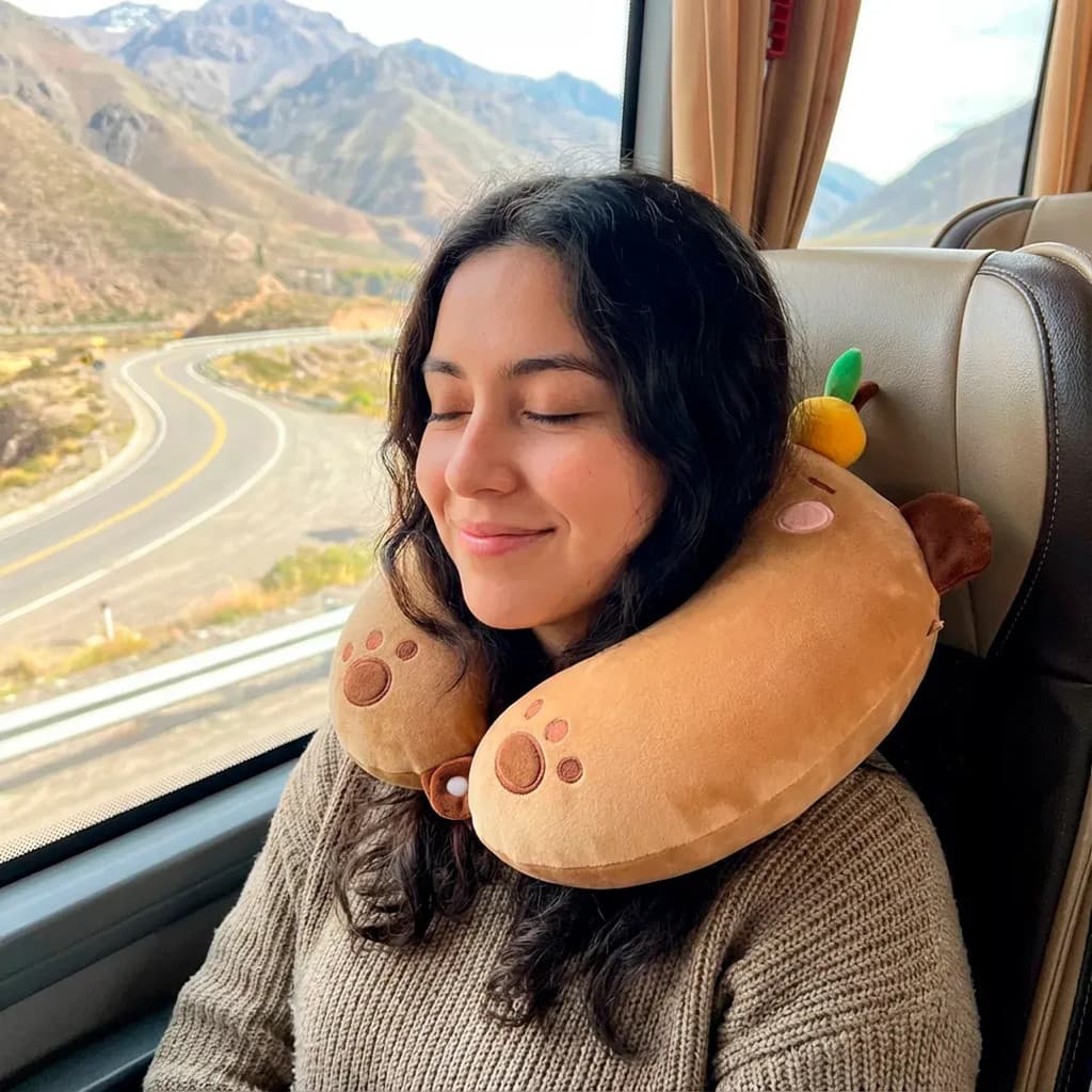 Travesseiro Infantil Para Pescoço Bebe Conforto Viagem Carro