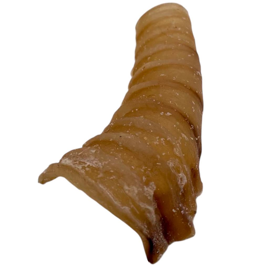 Traqueia Bovina BeefBone Snack Mastigável Natural Super Premium Cachorro Cães
