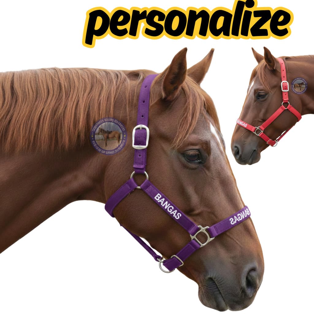 Cabresto de Cavalo personalizado Quarto  Reforçado escolha seu nome