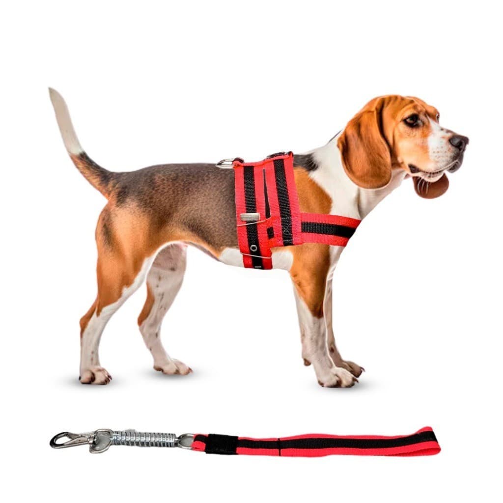 Conjunto Peitoral Com Guia Nylon Duplo Para Cachorro Cão Grande Porte Resistente Com Amortecedor