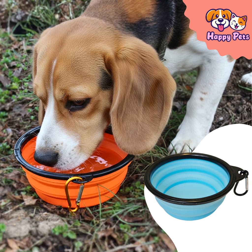 Bebedouro Comedouro Retrátil Silicone para Cachorro Cães Gato Pet Dobrável 350ml com Mosquetão