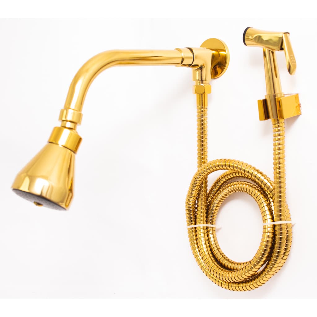 Ducha Chuveiro Dourado Inox Com Desviador Redondo e Ducha Manual Metal Samer