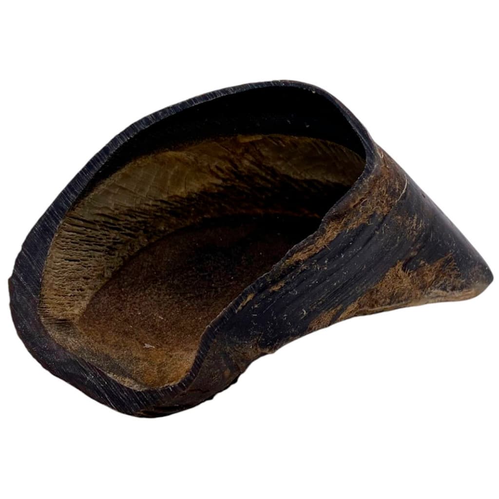 Casco Bovino BeefBone Petisco Natural Mordedor Super Premium Cães Cachorro