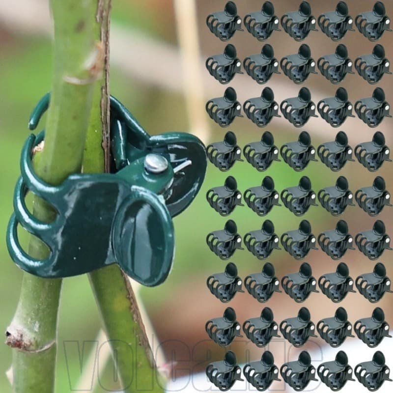 250-50 Unidades De Mini Clipes De Suporte Para Plantas-Braçadeira De Fixação De Hastes De Flores-Clipe De Orquídea Plant
