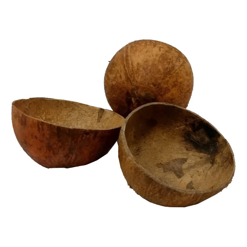 Kit 3 Coité De Coco Sem Base Umbanda - Candomblé