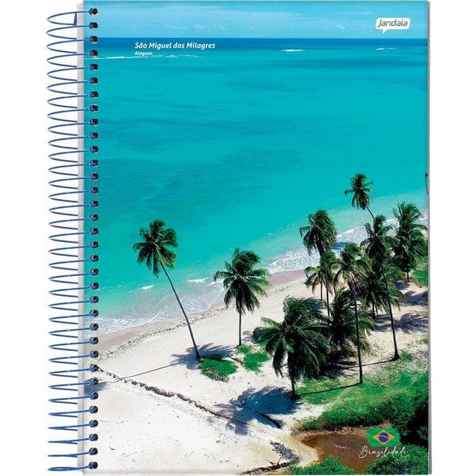 Caderno Espiral 1/4 Capa Dura Brasilidade 200 Folhas- Jandaia