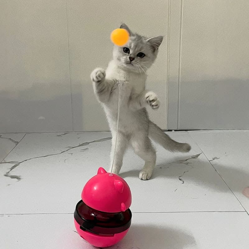 Gato brinquedo Tumbler provocando gato vazando bola de comida gato plataforma giratória provocando gato vara auto-feliz