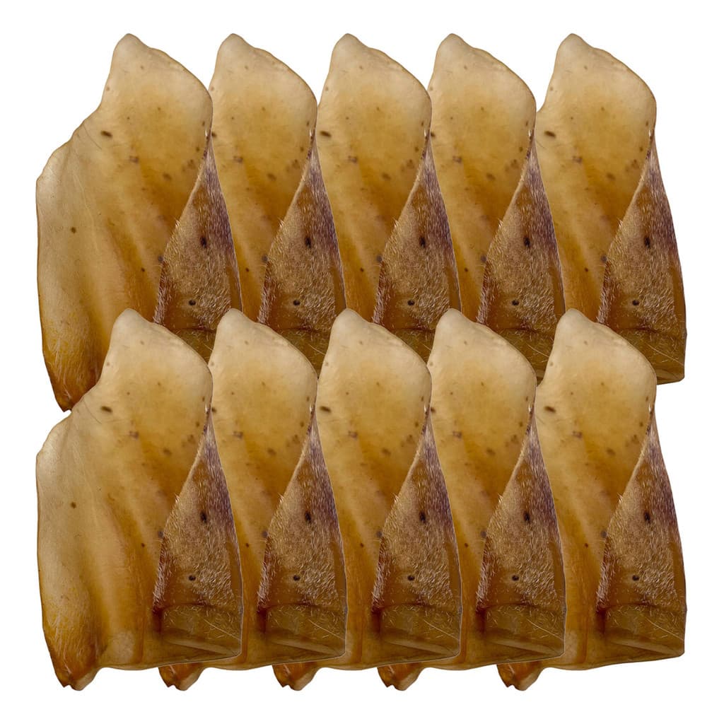 Kit 10 Petiscos Naturais Orelha Bovina BeefBone para Cachorros Adultos