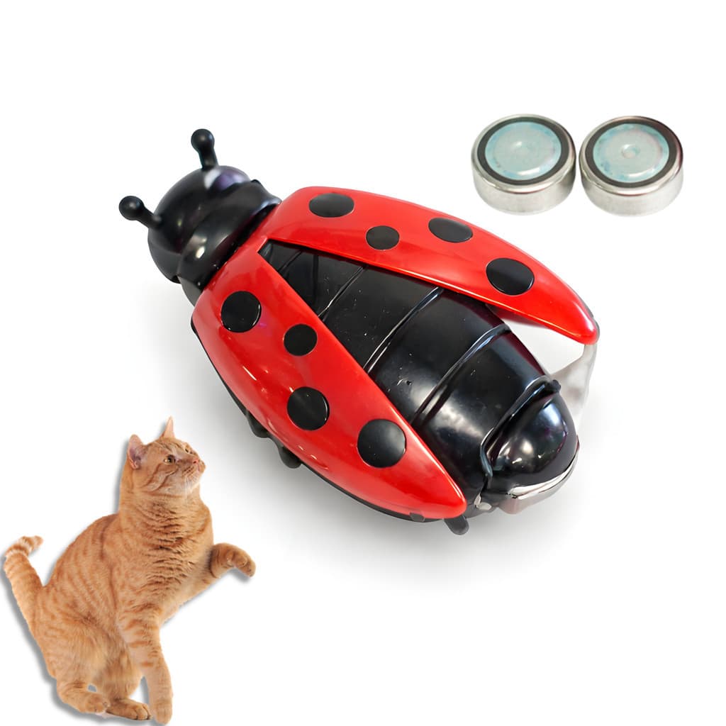 Brinquedo Interativo para Gatos Joaninha Motorizada com Movimento Automático e Bateria