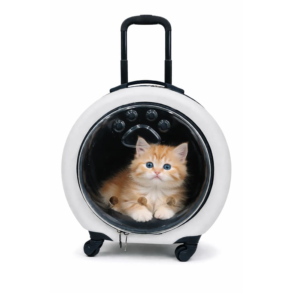 Mochila Pet com Rodinha Visão Panorâmica Segurança Ventilação Conforto