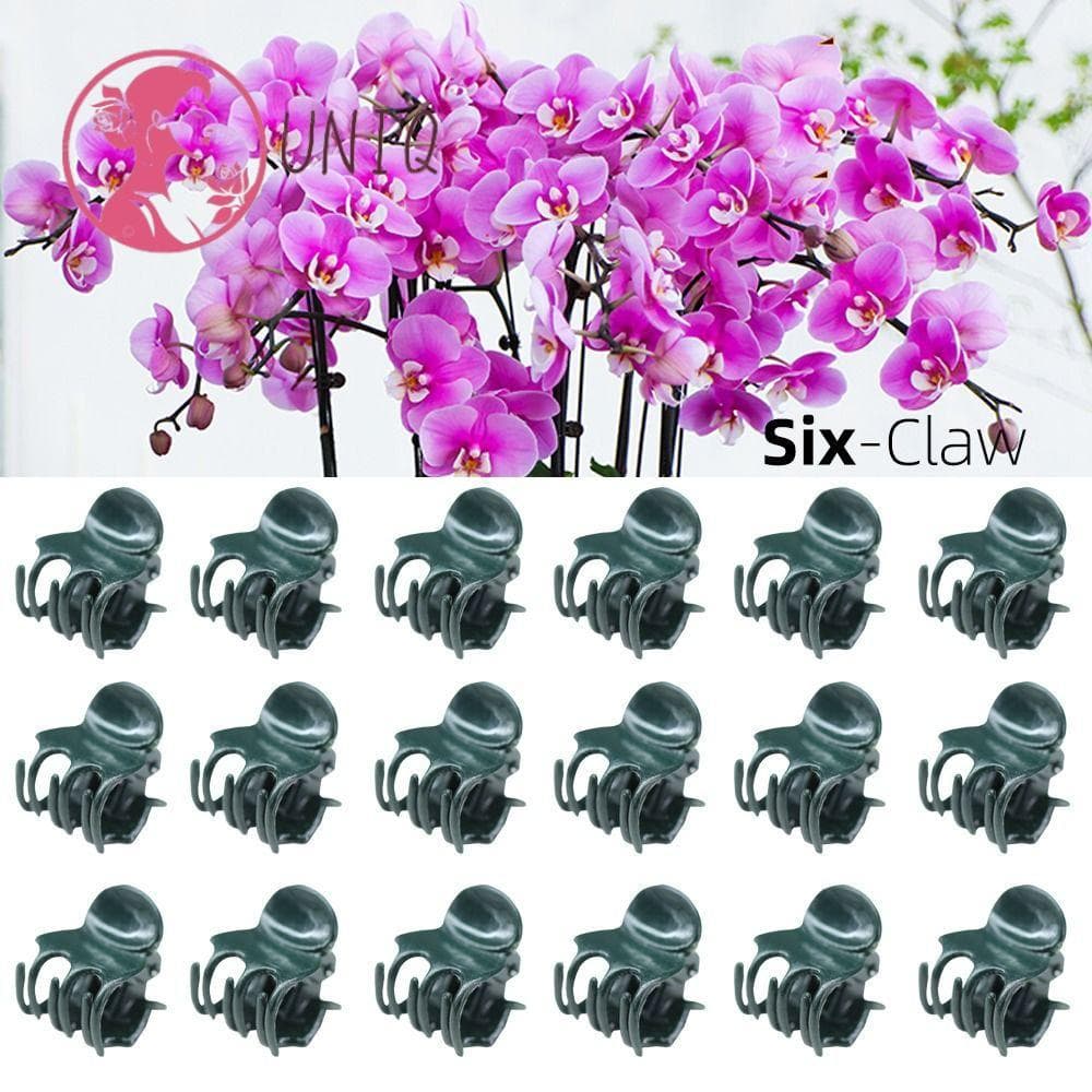 UNIQ 100 Pçs Clipes De Planta , Suporte De Flor De Orquídea Clipe De Enxerto De 6 Garras , Suprimentos Ferramentas De Ja
