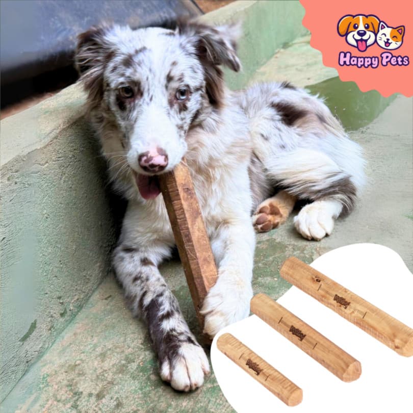 Mordedor Natural Da Pet Games Dog Wood Premium Brinquedo Feito Da Madeira De Café Para Cão Cachorro