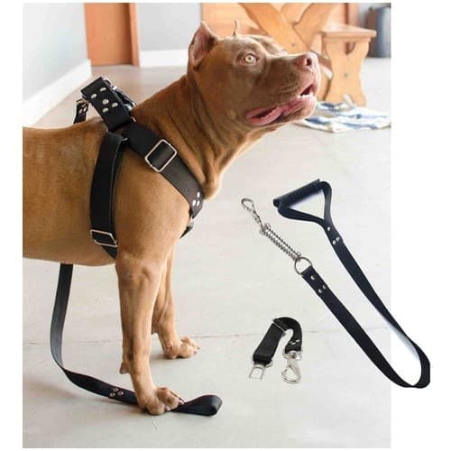 Coleira Peitoral Cachorro Guia Doberman Pitbull Anti Puxao Medio e grande porte