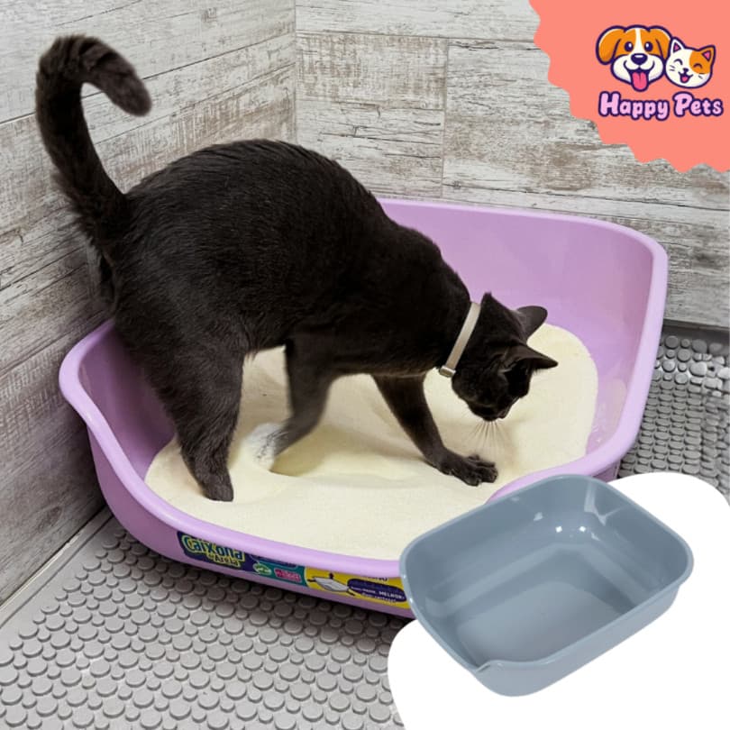 Caixona de Areia Da Pet Games Bandeja Higiênica Premium Para Gato Caixa Com Grandes Dimensões