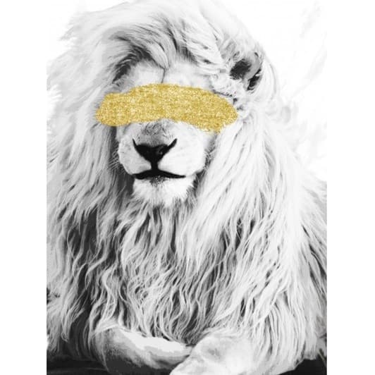 Quadro Decorativo Leão Dourado 60x40 animais safari