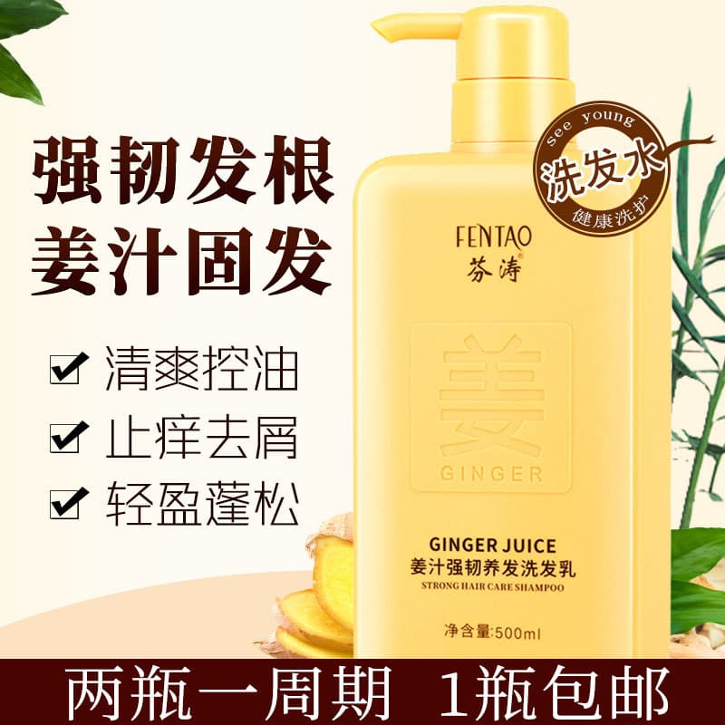 Shampoo de gengibre sem Silicone, masculino, feminino, anticaspa, anti-coceira, controle de óleo fofo, refrescante, anti