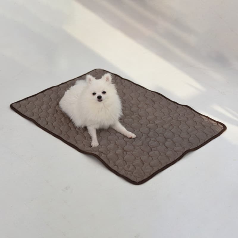 Almofada De Resfriamento Para Animais De Estimação , Cães , Gatos , Sedas Geladas , Cobertor , Gatinhos , Filhotes , Coe