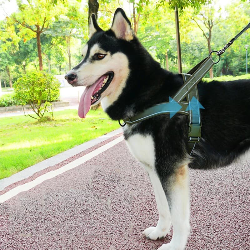 Colete de Nylon para Passeio de Animais de Estimação com Faixas Refletivas, Colete Ajustável para Passeio de Cães, Resis