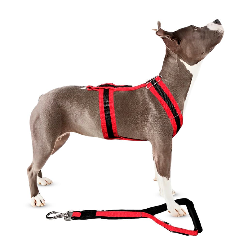 Conjunto Peitoral Tração Pitbull Com Guia Manopla Para Cachorro Cão Forte Grande Porte Pitbull