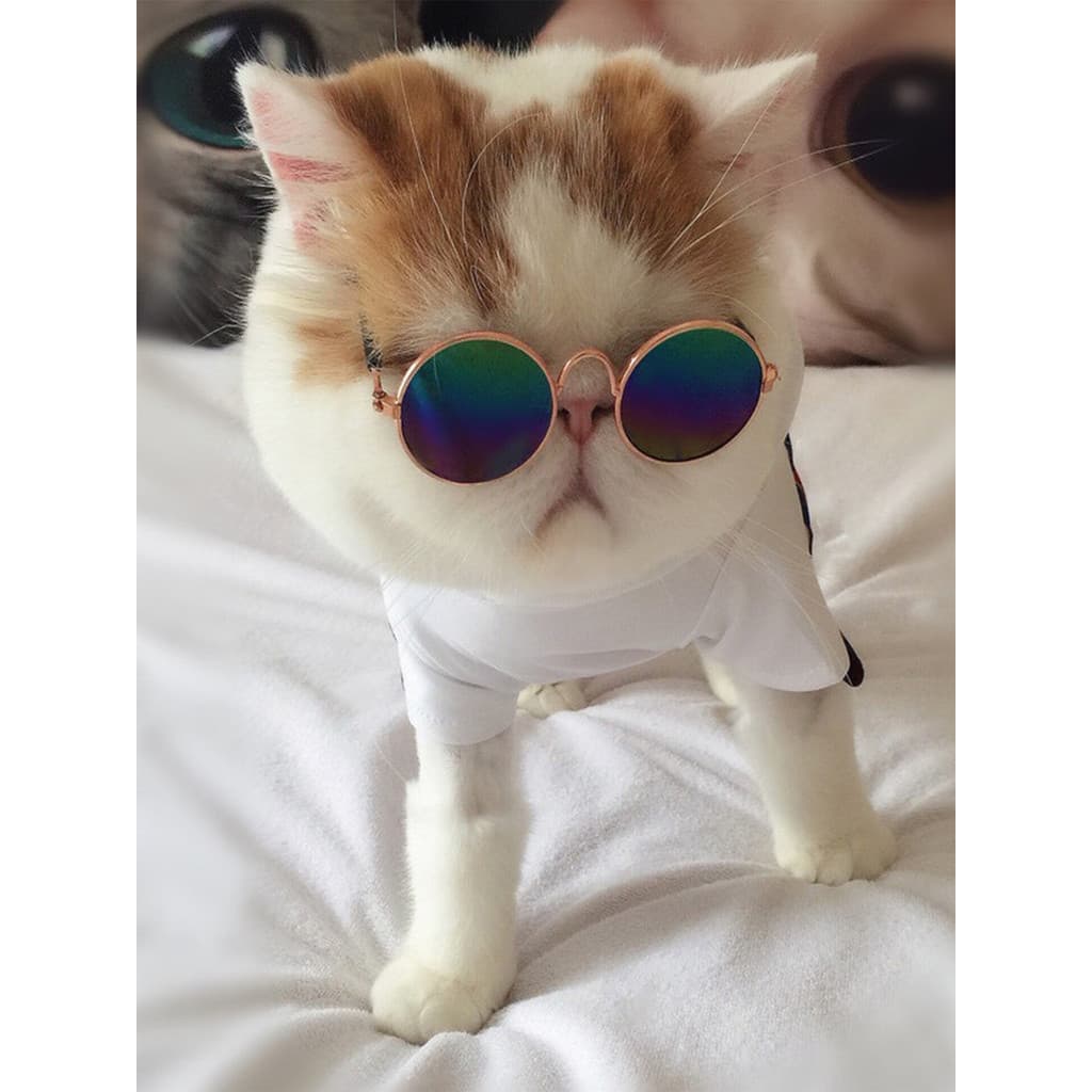 Óculos de sol para cães de estimação Shiba Inu Teddy pequeno cão de tamanho médio brinquedo criativo boneca foto óculos
