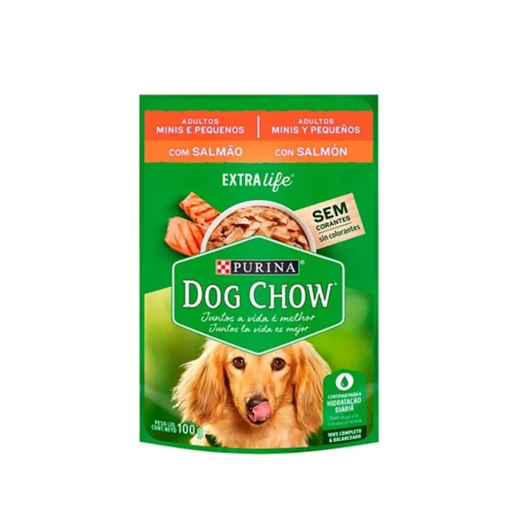 SACHÊ DOG CHOW ADLT MINI PEQ SALMAO 100G 1 UN