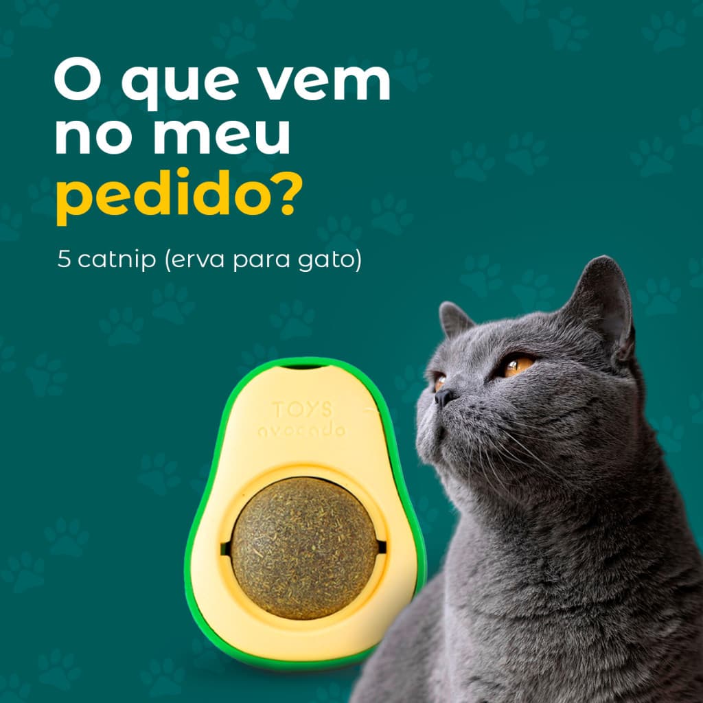 Kit 1/2/3/4 Abacate Brinquedo Interativo Gatos Catnip Erva Natural