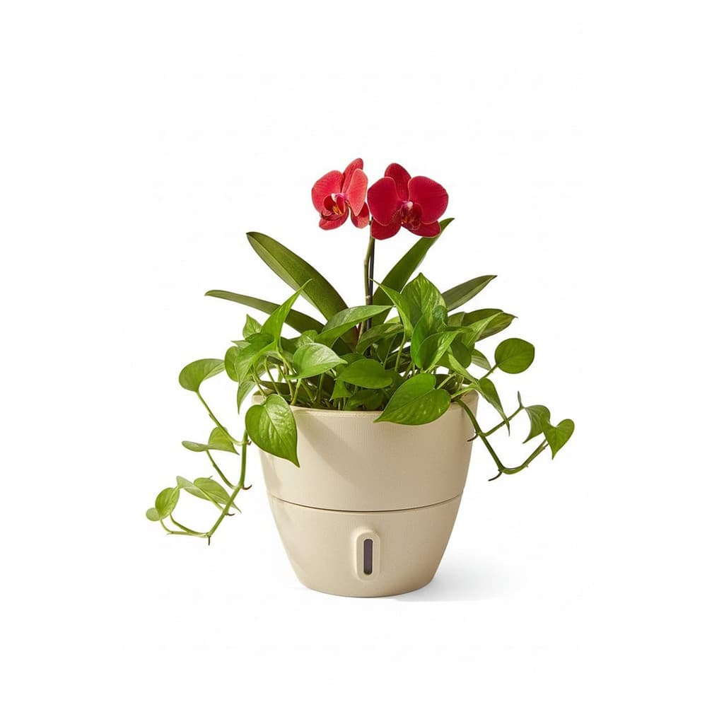 Vaso de Planta Inteligente Autoirrigável Cone P Areia