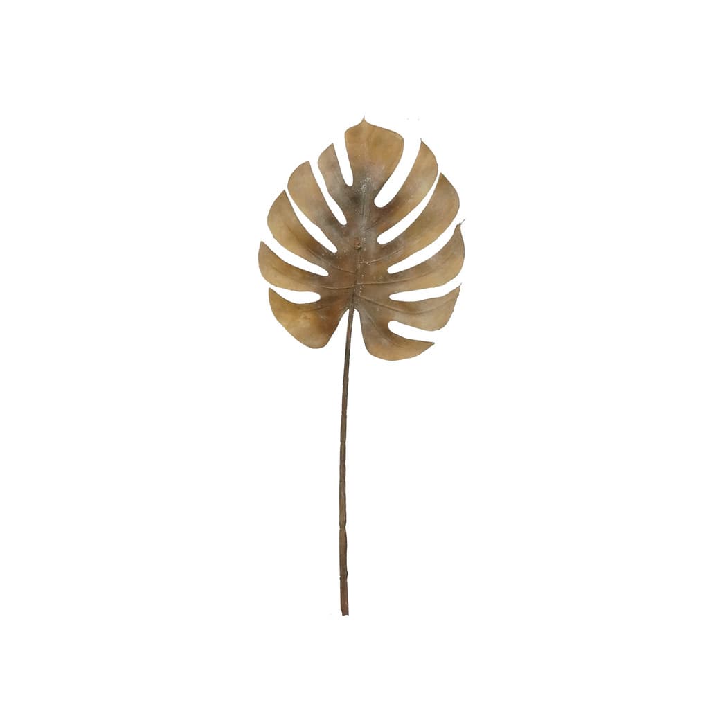 Haste Costela de Adão cor Natural 72cm Decoração Casamento