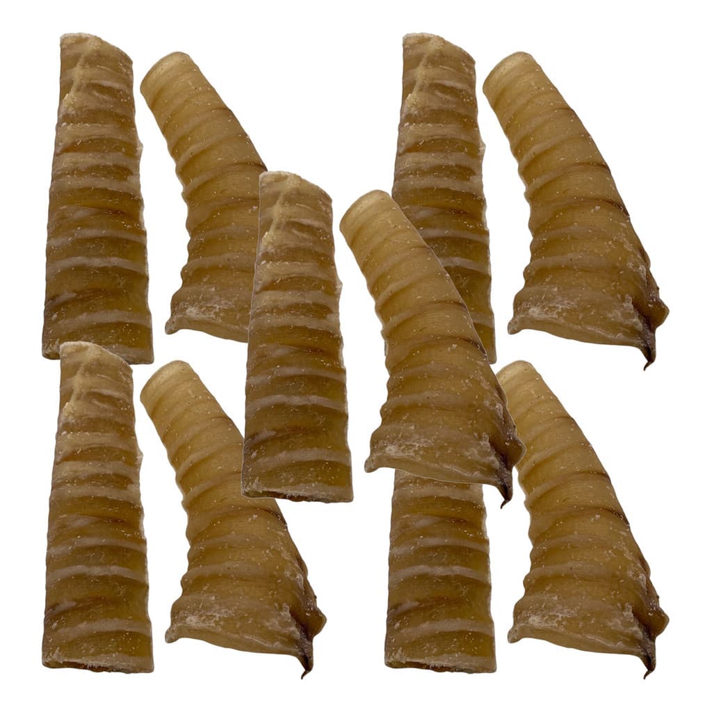 Kit 5 Traqueias Bovinas BeefBone Snack Natural para Cachorro