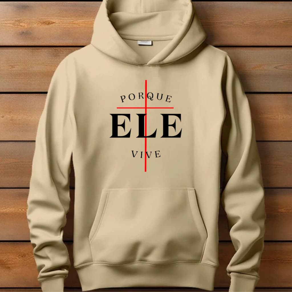 Moletom blusa de frio moda evangélica Porque Ele Vive algodão