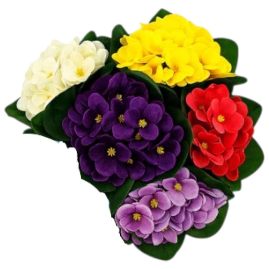 Buquê de Violeta Decorativo arranjos Plantas e Flores