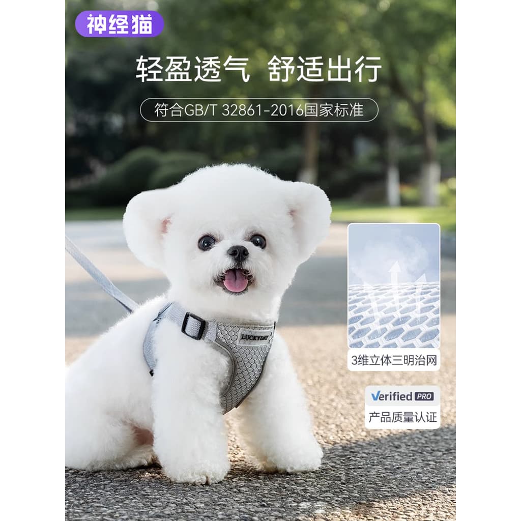 Coleira tipo colete para cachorro, coleira pequena para cachorro, pelúcia, Corgi, Bichon, filhote de cachorro, corrente