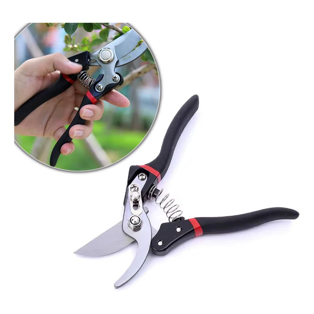 Tesouras De Poda Tesoura Jardinagem Ramos E Folhas De Ameixa Resistente Durável Sem Ferrugem